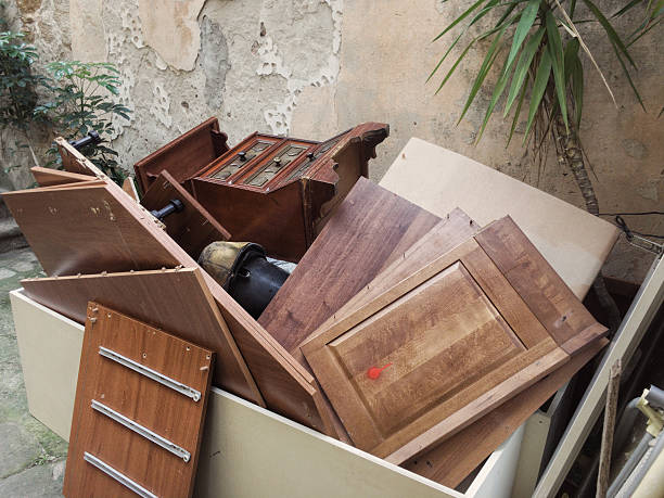 Best Demolition Debris Removal  in Holland, MI